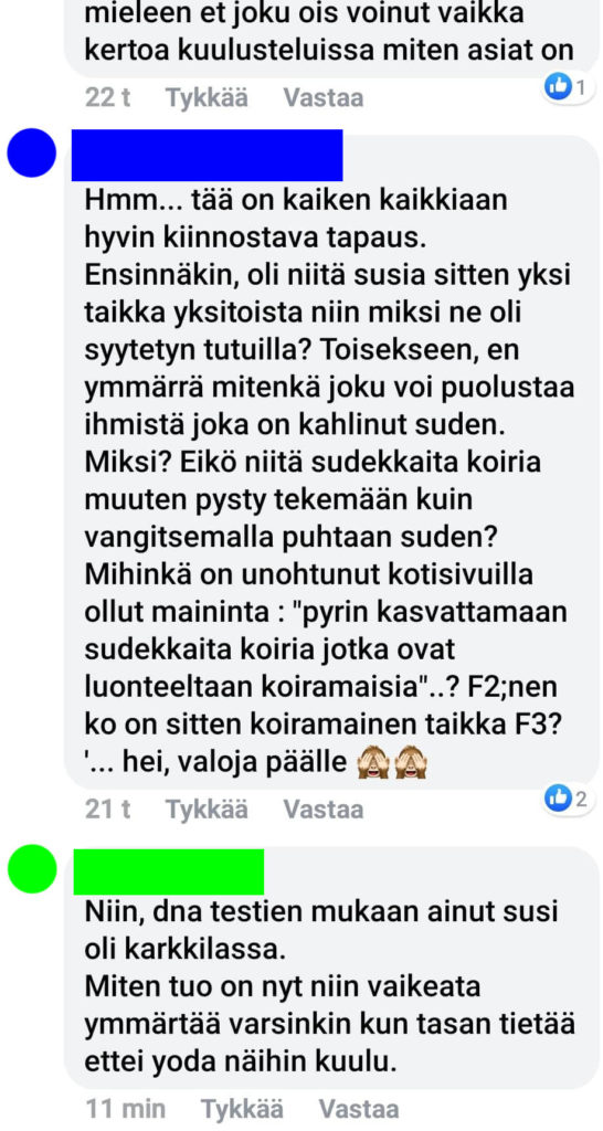 Facebook-keskustelua